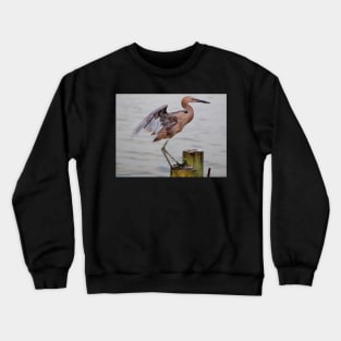 Egret Egress Crewneck Sweatshirt